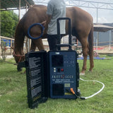 PMST LOOP Physio Magneto Therapy Magnawave Device Helps The Horse By Improving Cellular Function and Metabolism