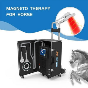 Equine Loop PEMF Physio Magneto VET for Horse Treatment Therapies Rehabilitating and Injured Equipment