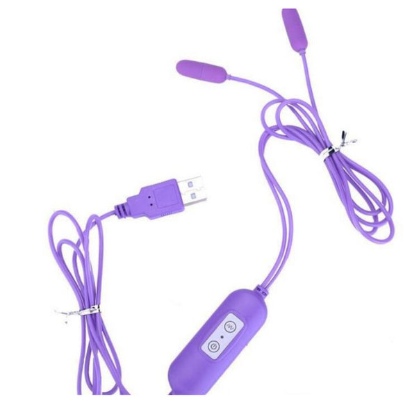 Chastity Devices Double Heads USB Urethral Wall Catheters Sounds Plug Jump Egg Vibrators Masturbation Egg Sex Toy for Men