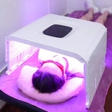 Infrared Light Therapy Face and Body LED PDT Light Therapy Machine Skin Acne Remover Anti-wrinkle Foldable Spa Mask Machine