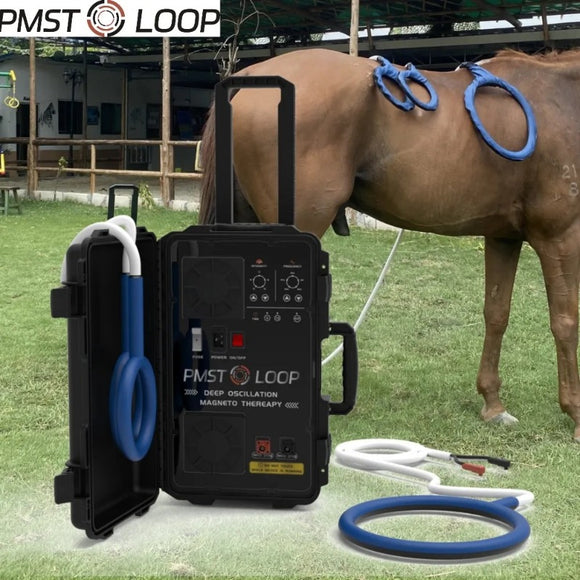 PMST LOOP Physio Magneto Therapy Magnawave Device Helps The Horse By Improving Cellular Function and Metabolism