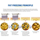 Professional 3 Sizes Cryolipolysis Handle for Cryo Fat Freeze Slimming Machines Use Medium and Small Double Chin Head