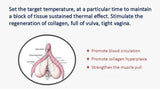 Multifunction Thermiva Vaginal Private Care Tightening Rejuvenation With RF Generator Systerm For Salon Use