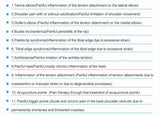 Professional Imported  Shock wave Shockwave Therapy Machine Weight Reduce Extracorporeal Equipment