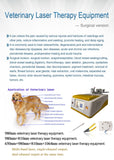 Pet Laser Laser-Surgery Version Veterinary Laser Therapy Equipments