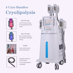 Vacuum Slimming Face Care Fat Loss Vacuum RF Laser Face Skin Tightening Machine Cryolipolysis Fat Freeze Slimming Machine