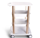 Assembled Steel Frame Trolley Cart Stand Tray For Face Lifting Fractional RF Ultrasonic Cavitation Slimming Salon Spa Use Machine CE