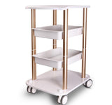 Assembled Steel Frame Trolley Cart Stand Tray For Face Lifting Fractional RF Ultrasonic Cavitation Slimming Salon Spa Use Machine CE