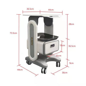 Aluminum Alloy Cart Support, ABS Double Drawer, Beauty Machine, Spa Mounted Cart