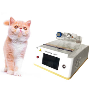 Animals Pain Relief High Power Laser 980nm High Power Veterinary Deep Tissue Therapy